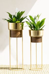Large Handmade Brass <b>Planter</b> for <b>Indoor</b> Outdoor Use with Durable Construction and Elegant Vintage Detailing - Product Image 3