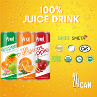 250Ml Vruchtensapdrank Kan Waterfles 100% Geen Suiker Vetarme Vrije Monsterfabricagedrank Van Vietnam Private Label Oem
