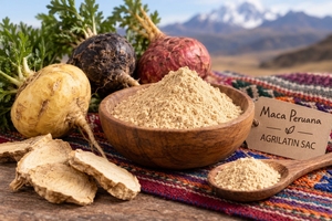 Poudre de Maca du Pérou Biologique Crue Gélatinée Jaune Rouge Noire Racine de Maca en Poudre Superaliment Qualité Alimentaire exportée par Agrilatin SAC - Product Image 3
