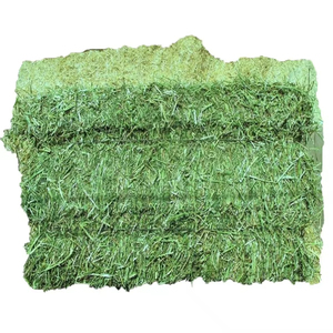 Bales de foin d'alfalfa 30kg 40kg 50kg haute densité compressée pour un transport économique en conteneur et sur longue distance - Product Image 5