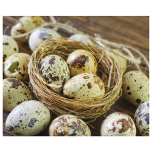 HUEVO DE CODORNIZ EN CONSERVA DE EXPORTACIÓN SUPERIOR DE PROVEEDOR VIETNAMITA CON PRECIO BARATO - Product Image 6