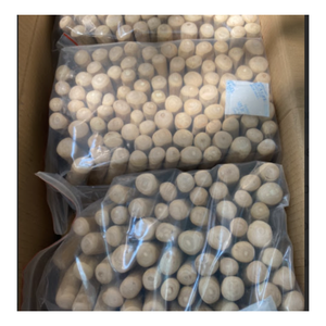 100% ของเล่นไม้สำหรับสุนัขเคี้ยวที่ทำจากไม้ธรรมชาติทนทานสำหรับทุกสายพันธุ์ - Product Image 2