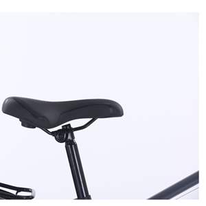Vélo de montagne tout-terrain à assistance électrique WindChaser, vélo de ville pour adultes de 26 pouces avec vélo électrique amovible, vélo électrique <span class=keywords><strong>pliable</strong></span> - Product Image 6