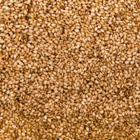 Graines de sésame blanches décortiquées de qualité supérieure, naturelles, brutes, 100 % pures, écologiques, origine Royaume-Uni, prix de gros