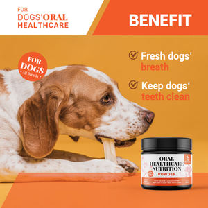 Polvo <span class=keywords><strong>de</strong></span> limpieza <span class=keywords><strong>de</strong></span> dientes para perros OEM, polvo Dental para perros y gatos, placa ambientadora para el <span class=keywords><strong>aliento</strong></span>, limpieza <span class=keywords><strong>de</strong></span> dientes <span class=keywords><strong>de</strong></span> mascotas, laboratorio, mal <span class=keywords><strong>aliento</strong></span> - Product Image 3