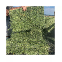 Granulés d'alfalfa et cubes d'alfalfa déshydratés pour chevaux et bovins, emballage en vrac de haute qualité, qualité supérieure