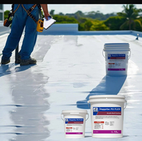 Revêtement de toit en silicone polyuréthane liquide peinture acrylique pour toitures revêtement de matériaux de construction étanche résistant aux UV