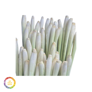 Citronnelle congelée au prix d'usine-Vietnam fournisseur fiable fournit des commandes en gros avec la certification d'exportation - Product Image 5