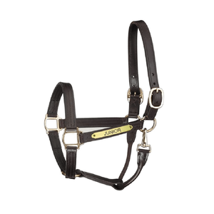 Halter de spectacle en cuir de cheval de style piste de qualité supérieure de haute qualité avec licous intelligents à pression et plaque signalétique - Product Image 1