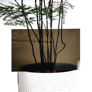 Panneaux en polycarbonate fumé modernes, gris fumé |   Toiture écologique et durable pour hôtels et entrepôts |   Vente en gros - Product Image 5