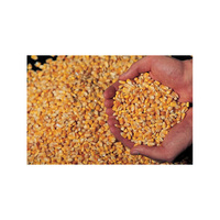 Maïs jaune non-OGM séché, glutineux, riche en protéines, naturel, en vrac, sain, durée de conservation de 2 ans, alimentation pour bétail, nourriture pour poulets