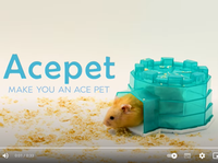 Maison pour animaux de compagnie en plastique en forme d'igloo avec base rafraîchissante pour gerbilles et hamsters - Forme ronde, durable et facile à nettoyer