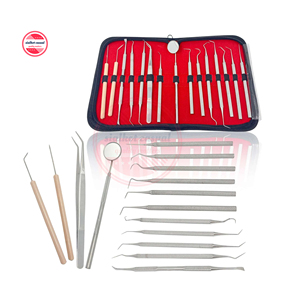 Dental Orthodontic Surgical <b>Tooth</b> Care Stainless Steel Probes Scalers Tweezers Mirror Surgical <b>Kit</b> Pouch Custom Logo - Product Image 1