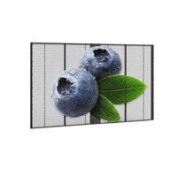 Écran LED transparent pour mur vidéo, léger, couleur intégrale, 4K HDR10, CMS intégré, pour façade de bâtiment