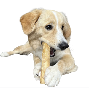 Palito Masticable de Madera de Café Natural, Alternativa Segura a los Juguetes de Plástico para Perros - Product Image 3