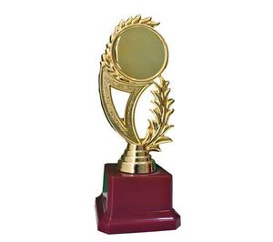 Trofeo de Metal Premium para Campeonato de Cricket, Obsequio Conmemorativo para el Ganador del Torneo Deportivo y Eventos del Club - Product Image 1