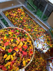 Best Seller Soft Chewy and Delicious Mixed Diced Dried Fruit Versatile Ingredient for Cooking and Baking Needs Blue Lotus - Product Image 5