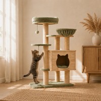 Arbre à chat en bois avec maisonnette, hamac et griffoirs pour grands chats, intérieur, vert sauge