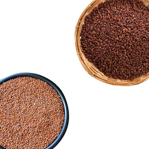 Cress | พืชสมุนไพรรสเลิศ | ใบฟาร์มออร์แกนิก - Product Image 6