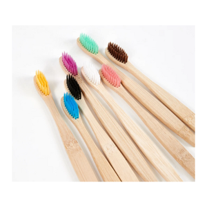 Cepillo de dientes de bambú Mango ecológico duradero con cerdas de nailon medianas para uso diario Eco Choice de Vietnam - Product Image 1