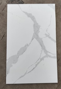 Premium Glazed 25x40cm Ceramic Digital <b>Wall</b> Tiles <b>for</b> Interior & Outdoor Use <b>for</b> Glazed <b>Decorative</b> Tiles <b>for</b> Interior <b>Walls</b> - Product Image 6