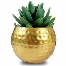 Bombay Greens, maceta ecológica de Metal dorado para interiores y exteriores, diseño elegante para decoración del hogar, sala de estar, escritorio de oficina - Product Image 2