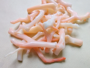 Palo Rosa japonés natural, cuentas de palo de coral blanco, palo pulido suave, piedra preciosa de coral suelta - Product Image 3