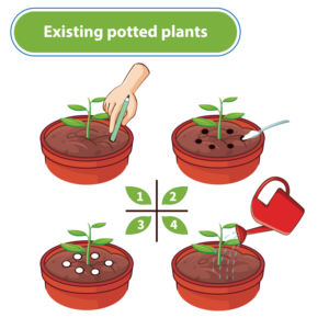 Ahorro de agua Aditivo de suelo Alta capacidad de absorción (500x) Terrarios de bricolaje - Product Image 5