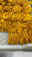 Vietnamese producent van gedroogde mango's, levert premium OEM-verpakkingen (bulk/geschenkverpakkingen) voor internationale high-end snackmerken.