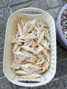 Coquilles tranchées de feuilles naturelles en vrac pour l'artisanat et la décoration - Product Image 4