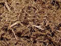 ชานอ้อยส่งออก - Product Image 2