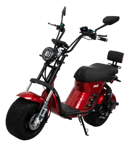 Vélo électrique Duos Fx2 1000w prêt à être expédié, autonomie de 65 km/h - Product Image 5