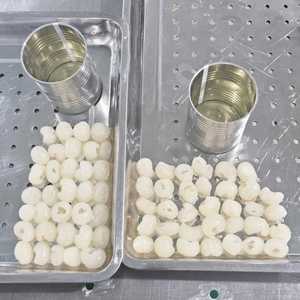 ลำไยบรรจุกระป๋อง100% สด - Product Image 1