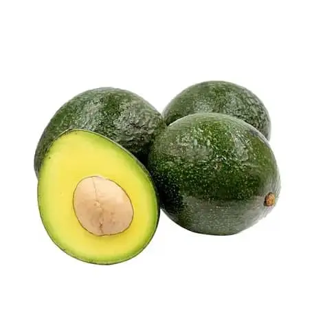 Avocado Fuerte Avocado fresco esportato verde tropicale scuro stile dolce imballaggio GAP contenitore colore peso Delta pelle