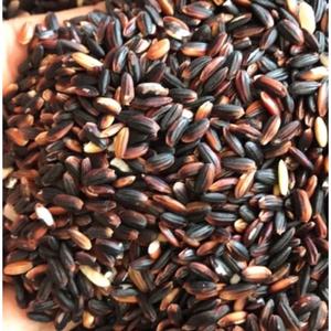 Riz gluant rouge de bonne qualité Standard Export - Product Image 5