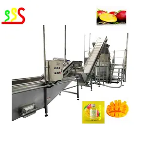 5 Ton Bahan Baku Segar Otomatis Hasil Tinggi Lini Produksi Buah Puree dan Sayuran