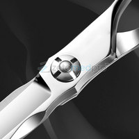 Ciseaux à cheveux en acier japonais VG10, outils de coupe professionnels pour salon de coiffure, ciseaux à cheveux de haute qualité en acier japonais VG10