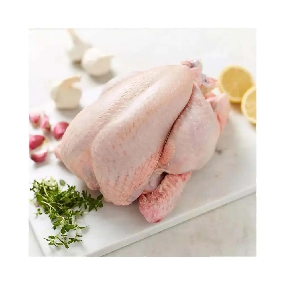 プレミアムグレードの新鮮な冷凍鶏肉を最高のレートで卸売鶏肉冷凍全鶏肉ハラール全冷凍鶏肉