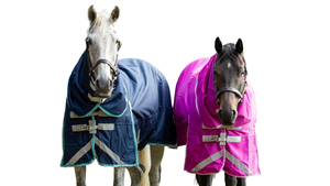 Manta para Caballo Impermeable de 600D, Transpirable, de Algodón y Polialgodón, Lavable a Máquina, Abrigada para Invierno, para Equitación - Product Image 5