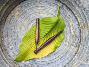 เข็มโครเชต์ไม้สำหรับถักนิตติ้งและอุปกรณ์ถักโครเชต์ คุณภาพพรีเมียม ทำด้วยมือ ราคาขายส่งจากอินเดีย - Product Image 5