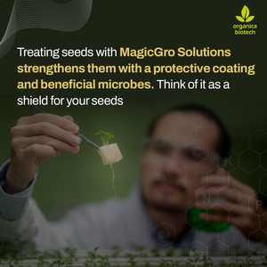 Promotor del Crecimiento de Plantas MagicGro para Soja con Tratamiento Biológico y Tolerancia al Estrés, Consortia Microbiana en Polvo Blanco - Product Image 3