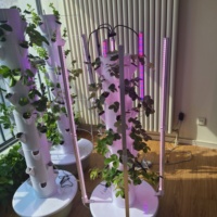 Système hydroponique vertical de 5 à 9 couches pour fraises | LED Grow Light Tower Garden pour usage domestique et commercial