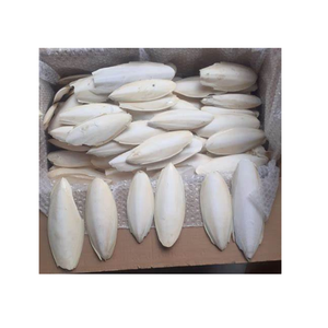 Hueso de sepia seco de fuente de calcio natural de Vietnam para pájaros y loros - Product Image 5