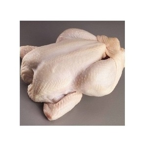 Proveedor Premium de Pollo Entero Congelado Halal, Carne Procesada de Pollo Halal de EE. UU. - Product Image 1