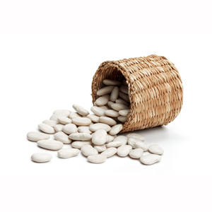 Haricots blancs de qualité supérieure naturels de la plus haute qualité pour l'exportation de gros gros haricots blancs de haute qualité - Product Image 2