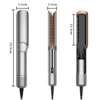 OEM Private Label 2-en-1 Ionic LED Sèche-cheveux Lisseur Électrique Portable Humide à Sec Haute Vitesse Souffleur de Cheveux Température