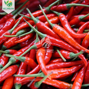 VIET THIEN PHU Chile Rojo Congelado de Vietnam, Grado Alimenticio para la Industria Alimentaria - Product Image 5