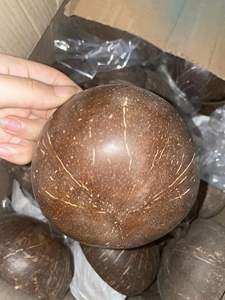 Ensemble de bols en noix de coco naturelle du Vietnam | Bols en coquille de noix de coco écologiques | Ensemble bol et cuillère en coquille de noix de coco par Eco2go Vietnam - Product Image 2