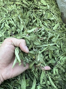Hojas secas de stevia a precio competitivo/hojas de stevia de alta calidad de Vietnam de 99 Gold Data - Product Image 3