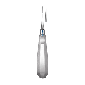 Precio barato Dental Root Elevator STR 5mm fórceps Instrumento dental Extracción de dientes Ascensor Raíz dental Hecho en Pakistán - Product Image 6